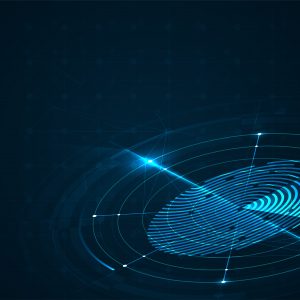 Wordpress Vulnerability Assessment - 4x/year subscription