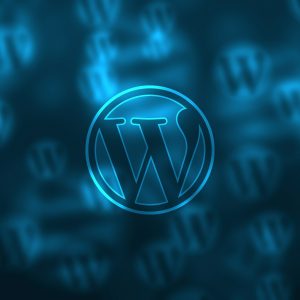 WordPress Vulnerability Assessment for my protection