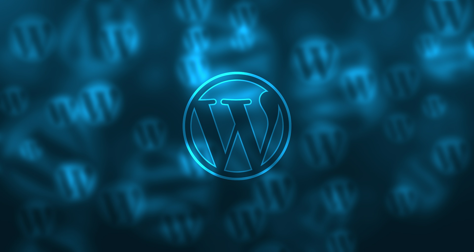 WordPress Vulnerability Assessment for my protection