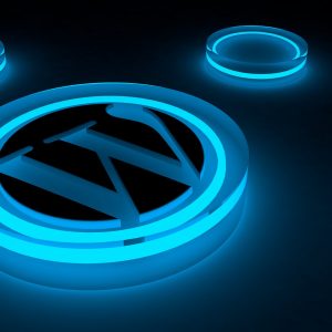 Wordpress Vulnerability Assessment - a year subscription