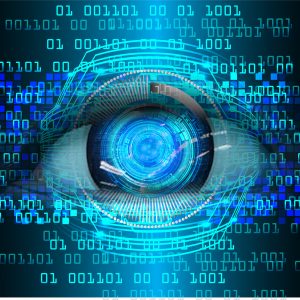 Pro Vulnerability Assessment - a year subscription