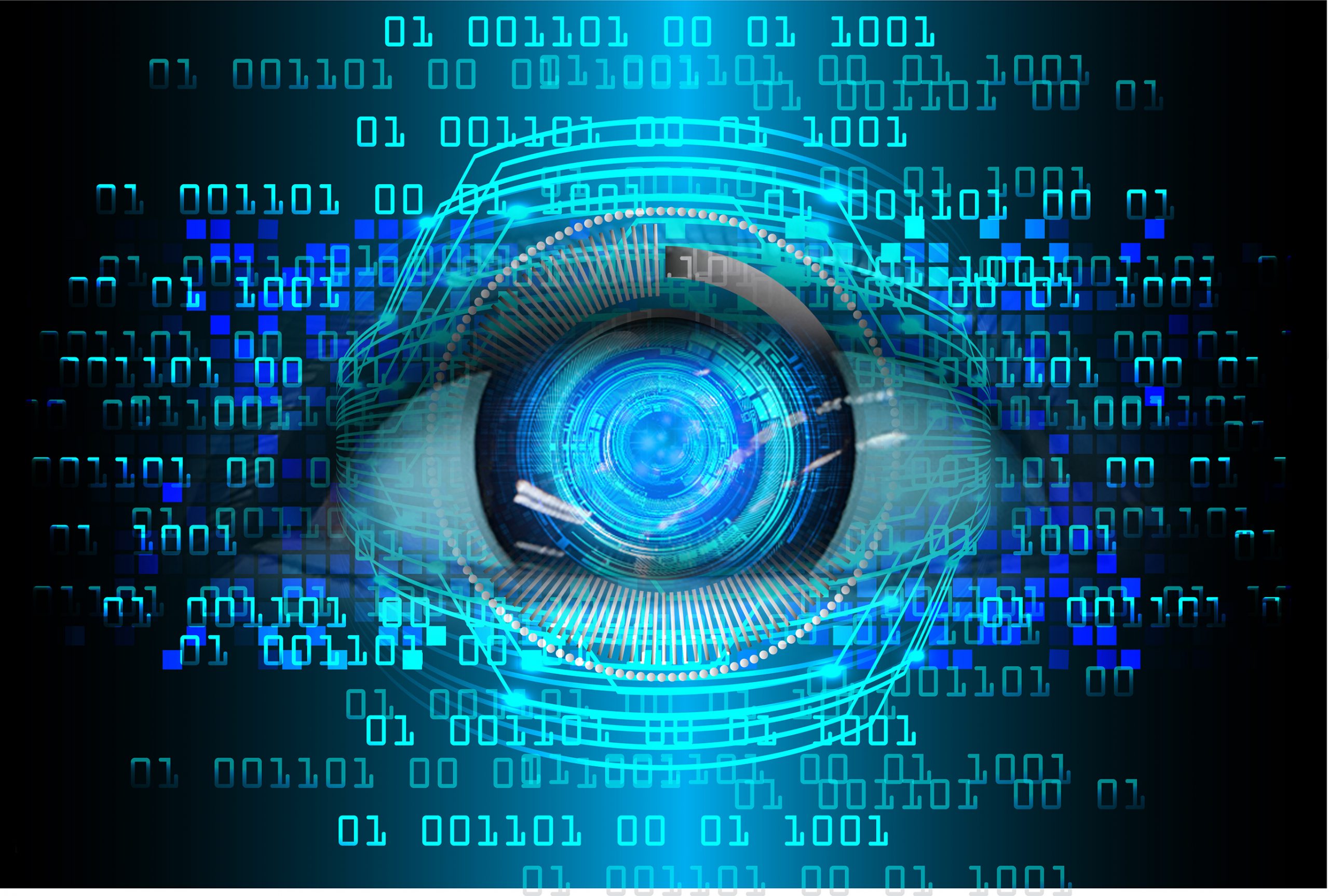 Pro Vulnerability Assessment - a year subscription